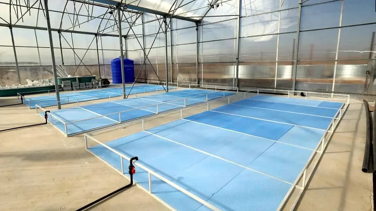 Afyonkarahisar Sanayisine Can Suyu: 4 Stratejik Sektöre Devlet Teşviği Geliyor