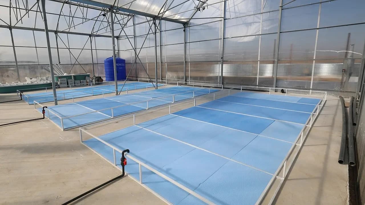 Afyonkarahisar’da Termal Devrim: Jeotermal Su ile Karides ve Balık Üretimi Başlıyor