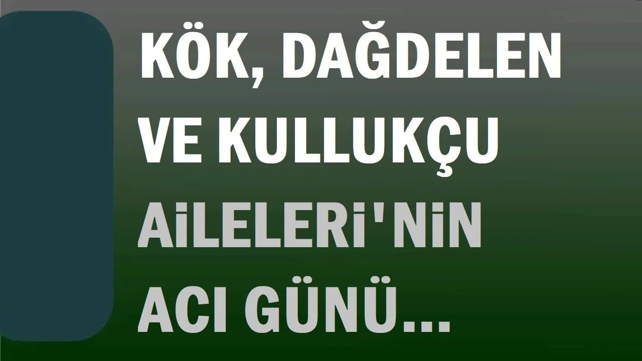 Afyonkarahisar'da Acı Kayıplar: Kök, Dağdelen ve Kullukçu Ailelerinin Hüznü
