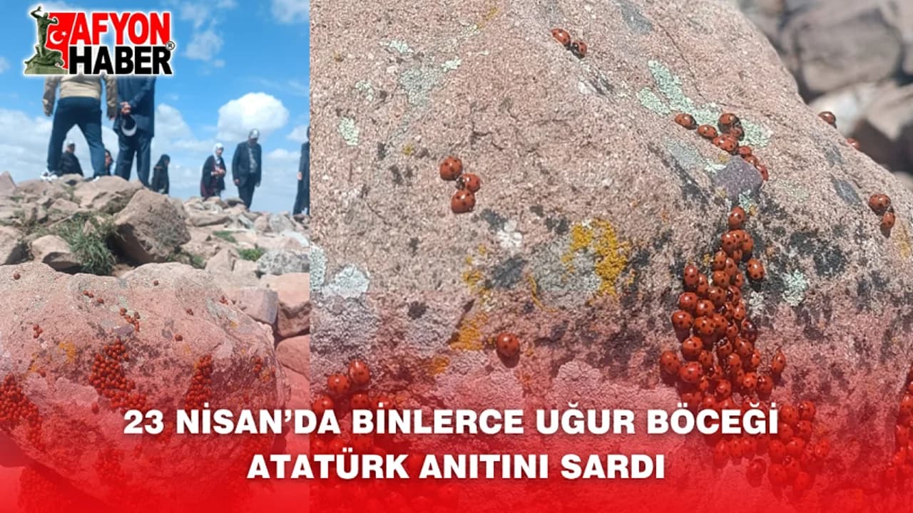 Kocatepe'de 23 Nisan Sürprizi: Atatürk Anıtı'nı Binlerce Uğur Böceği Kapladı