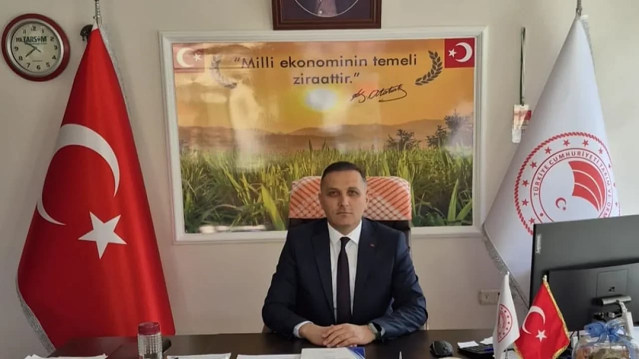 Dinar'da Üreticiye Destek: Yüzde 50 Hibeli Çerezlik Ayçiçeği Tohumu Dağıtılacak