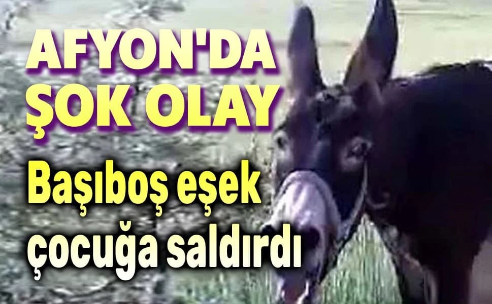 Afyonkarahisar'da Dehşet: Evinin Bahçesinde Oynayan 5 Yaşındaki Çocuğa Eşek Saldırdı