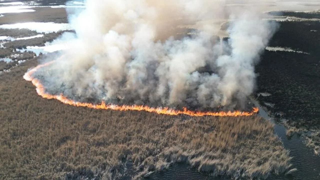 Karamık Gölü'nde Sazlık Yangını: 1 Hektarlık Alan Zarar Gördü